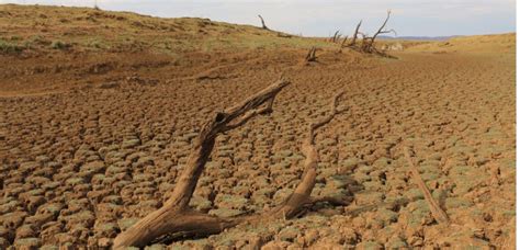 La Grande Sécheresse du IVe siècle en Afrique australe: Un tournant climatique majeur dans l'histoire de la région